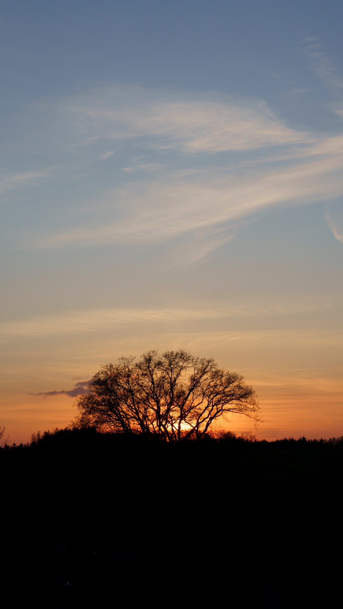 Natuur foto 3