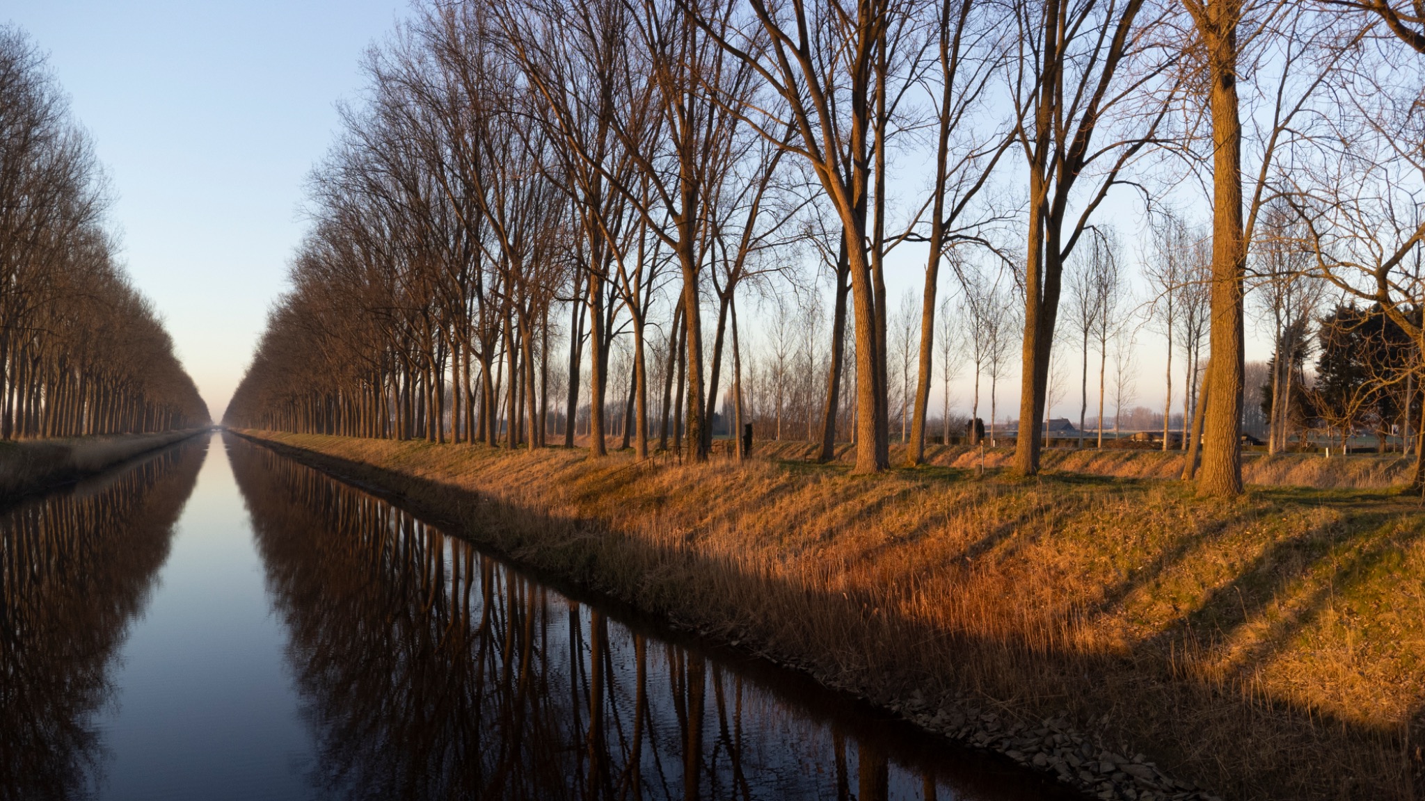 Natuur foto 7