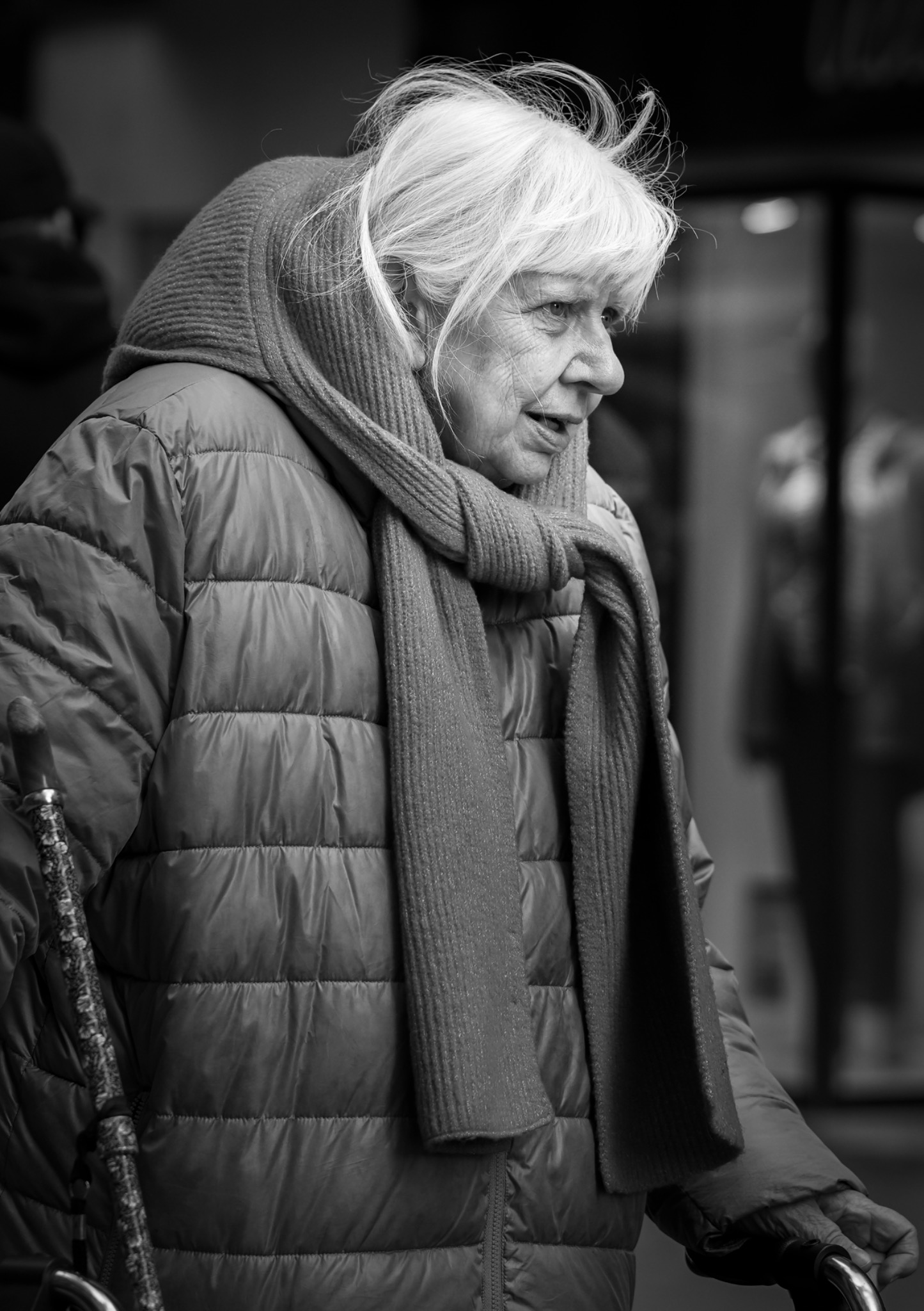 Portret 14